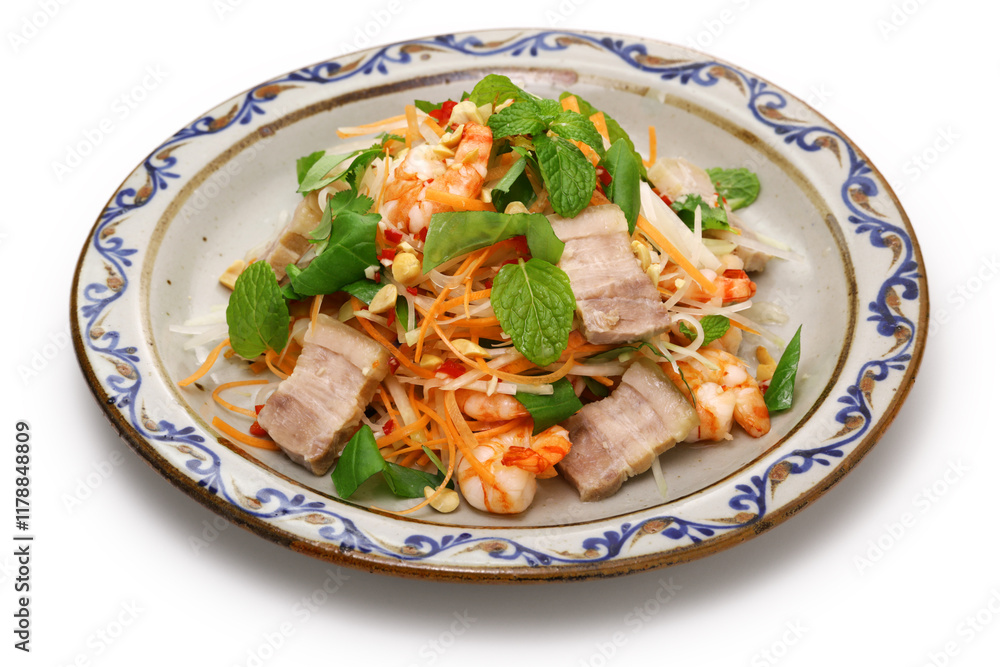 Green papaya salad with prawn and pork, Vietnamese cuisine Green papaya salad with prawn and pork, Vietnamese cuisine