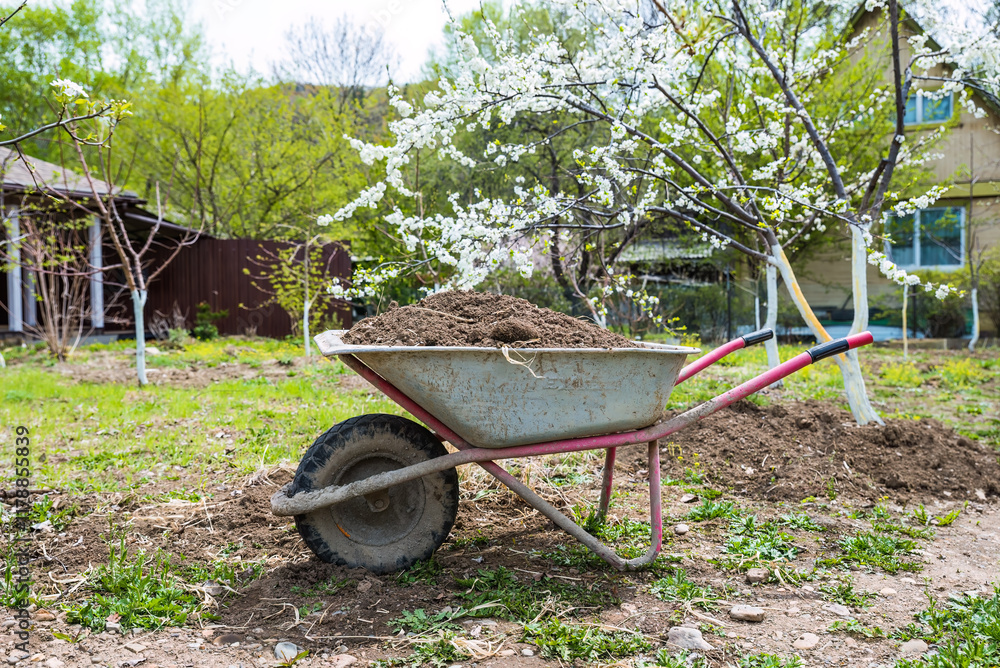 A wheelbarrow filled with soil stands in a spring garden, ready for planting. Blooming plum trees are in the background, symbolizing the season of gardening and growth A wheelbarrow filled with soil stands in a spring garden, ready for planting. Blooming plum trees are in the background, symbolizing the season of gardening and growth