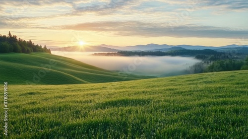 Serene Sunrise Over Misty Hills and Lush Green Fields