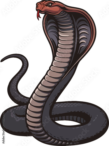 Cobra snake illustration logo design