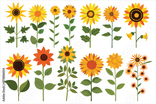 set of different sun flower Flat style vector illustration isolated on a white background