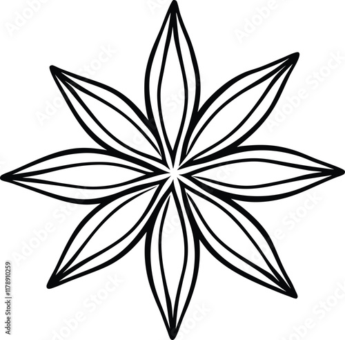 Anise star spice line art vector herb