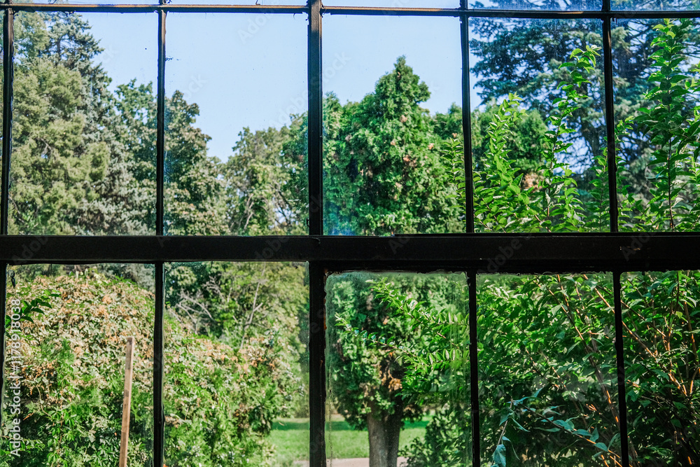 A tranquil view through a rustic window overlooking a lush garden and clear blue sky in daylight A tranquil view through a rustic window overlooking a lush garden and clear blue sky in daylight