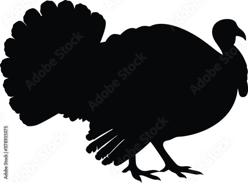 turkey silhouette vector, Turkey cock bird animal silhouette, thanksgiving turkey  photo