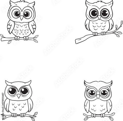 Set of vector illustration of a cute Owl hand drawing coloring activity for children book page photo