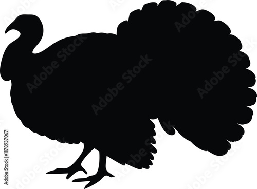 turkey silhouette vector, Turkey cock bird animal silhouette, thanksgiving turkey  photo