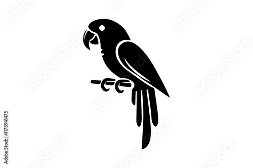 Parrot vector and illustration 