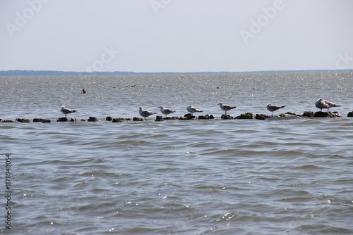 Baltiysk. Baltic Sea. photo