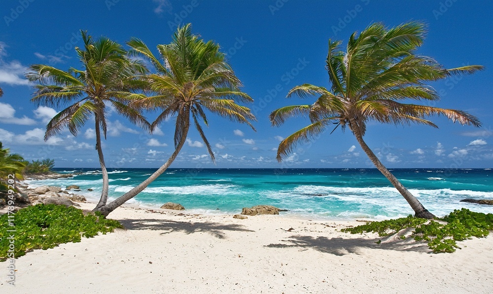 Tropical beach with palm trees, white sand, turquoise water, and blue sky. Ideal for travel ads. Tropical beach with palm trees, white sand, turquoise water, and blue sky. Ideal for travel ads.