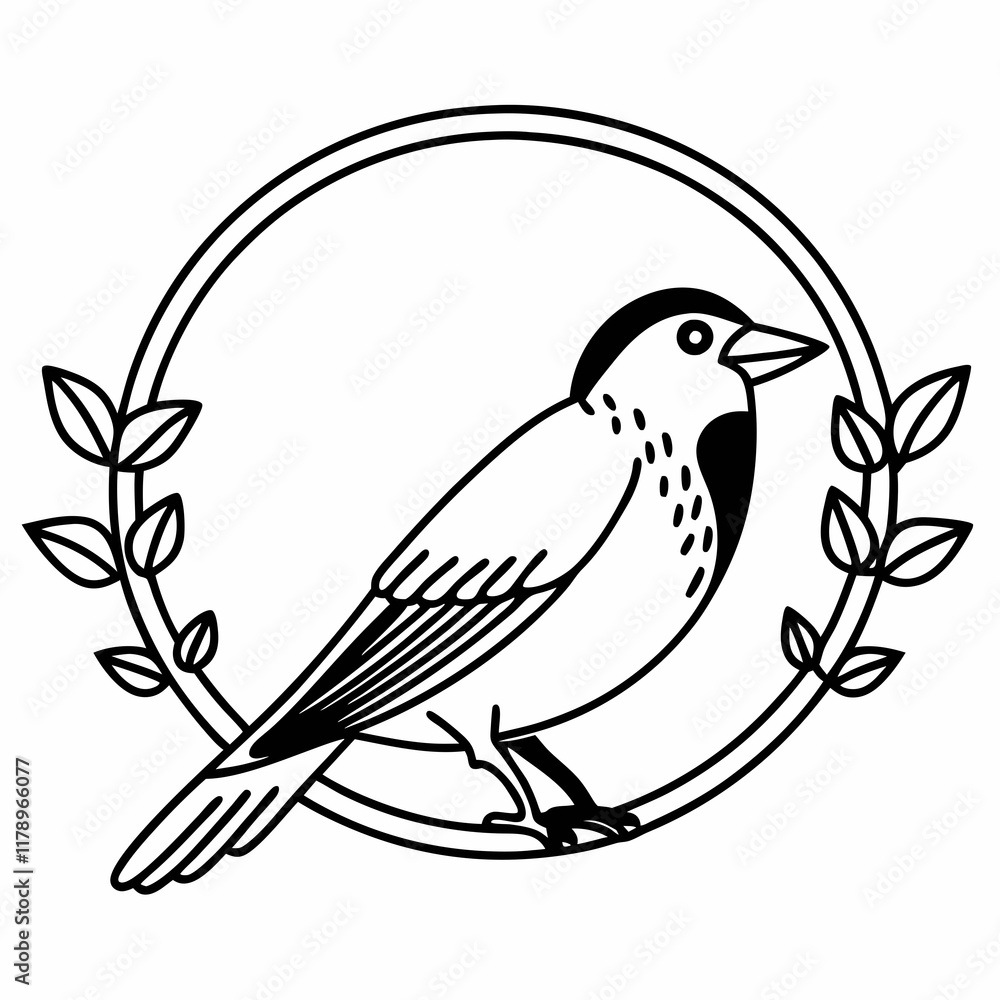 bird illustration bird illustration