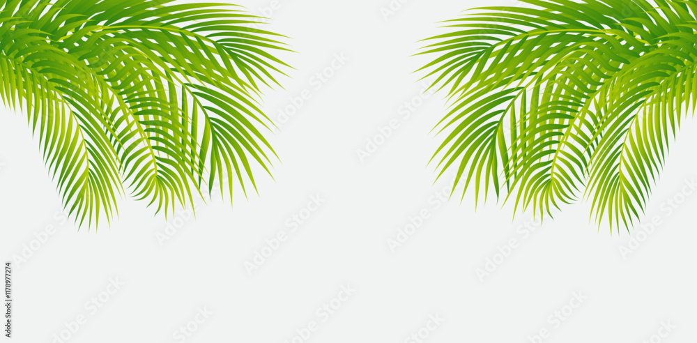 Fototapeta premium Green Leaf background
