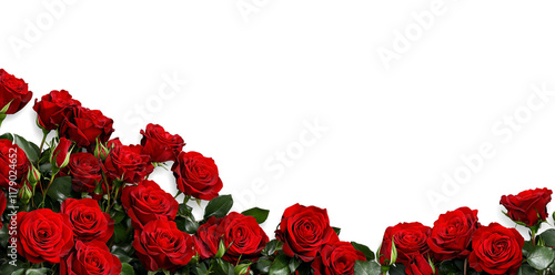 Fototapeta Naklejka Na Ścianę i Meble -  red roses border
