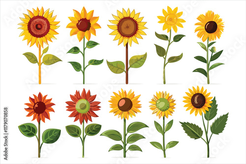 set of different sun flower Flat style vector illustration isolated on a white background