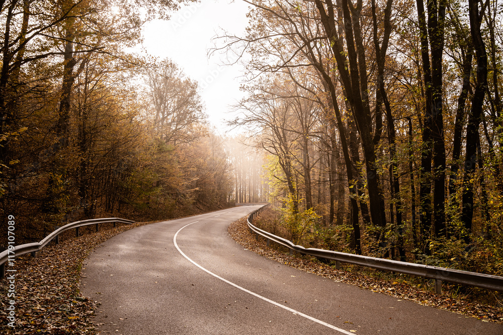 Fototapeta premium Foggy morning mountain road with golden sunlight going trough the trees 