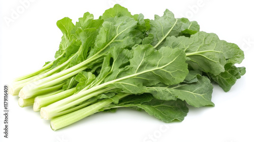 Lettuce salads and vegetables vector banners of mangold kale or collard, chicory and spinach, arugula, lollo rossa and radicchio, romaine and pak choi or sorrel, swiss chard batavia and gotukola photo