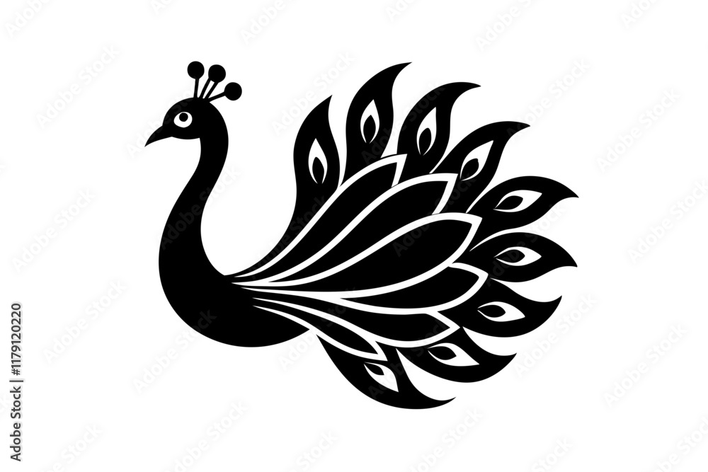 Fototapeta premium peacock feather isolated on white