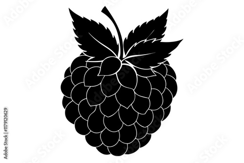 illustration of a ripe raspberry
