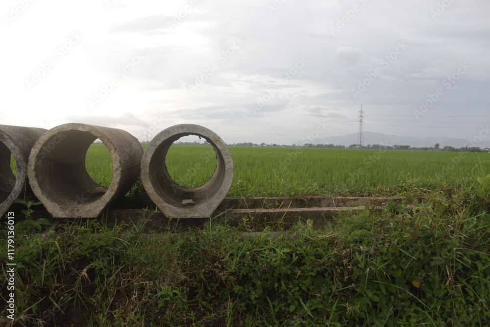 concrete pipes in rice fields, material that will be used to make agricultural irrigation channels concrete pipes in rice fields, material that will be used to make agricultural irrigation channels