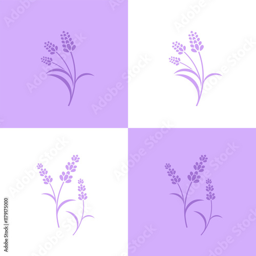 Lavender flower vector. Fresh lavender on white and purple background