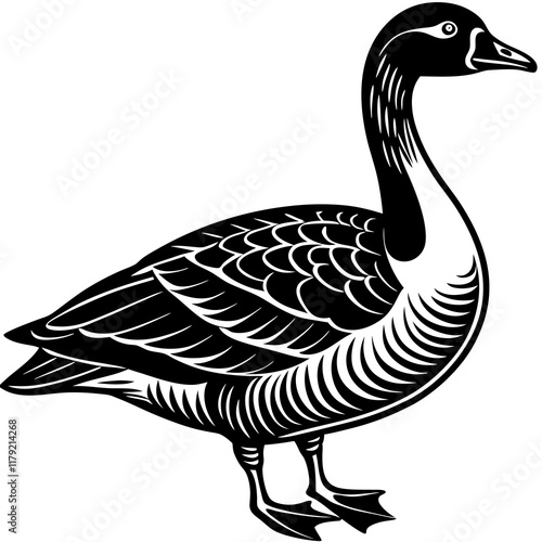 goose isolated on white