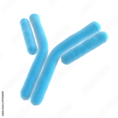 Fototapeta Naklejka Na Ścianę i Meble -  Antibody. Isolated. Immunoglobulin. Blue color. 3d illustration.