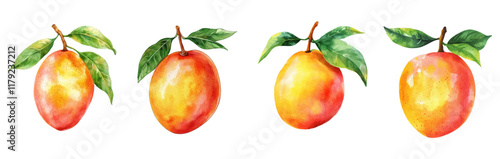 Watercolor mango set png. Juicy ripe tropical mangoes on transparent background watercolor. Tropical fruits watercolor. Vector illustration.