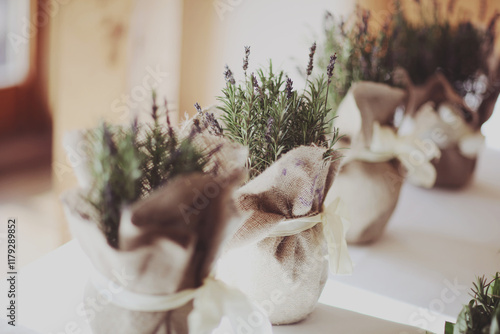 Lavender growing in pretty little rustic home made pots made of sack cloth arranged on a shelf