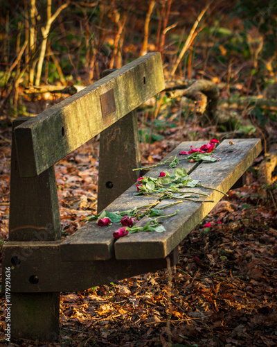 frosty frozen roses on a woodland memorial bench 