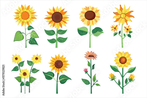 set of different sun flower Flat style vector illustration isolated on a white background