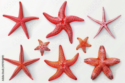 Flawless Visual of Collection Set of Red Starfishes Isolated on Transparent Background photo