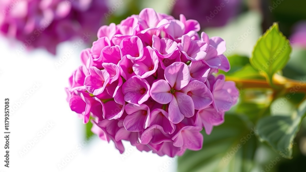 Fototapeta premium Lilac Roller: Dreamy Spring Scene