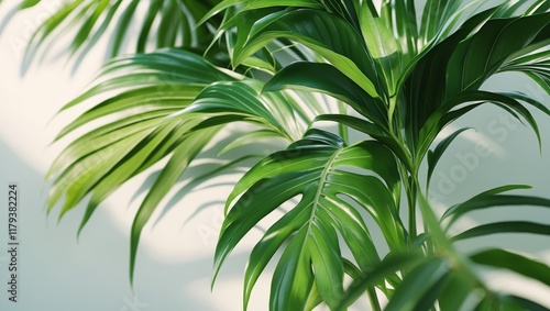 Lush green tropical leaves with rich texture and depth.