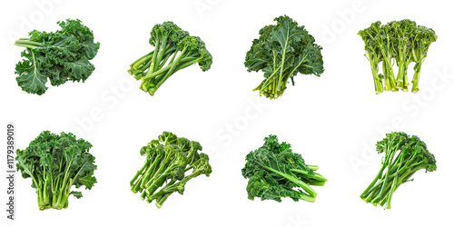 broccoli rabe rapini isolated on background, buds nutritious edible bitter