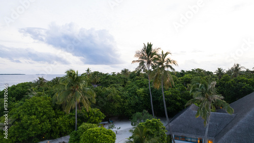 Obraz na płótnie The house is hidden in the greenery of the island. Aerial view from the drone of the thatched roof, green palm trees and trees. A cell tower and a sky with dark and light clouds. White sand. w salonie