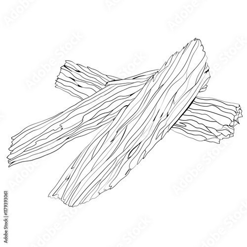 Sandalwood. A base note in perfumery. Outline illustration.