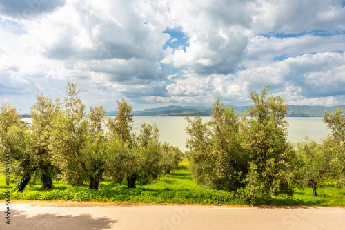 Beautiful Landscape of Trasimeno Lake in Castiglione Del Lago, Umbria Italy
