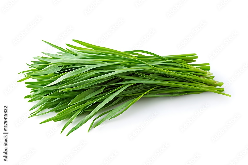 Fresh Green Garlic Chives, Cooking Herbs Fresh Green Garlic Chives, Cooking Herbs