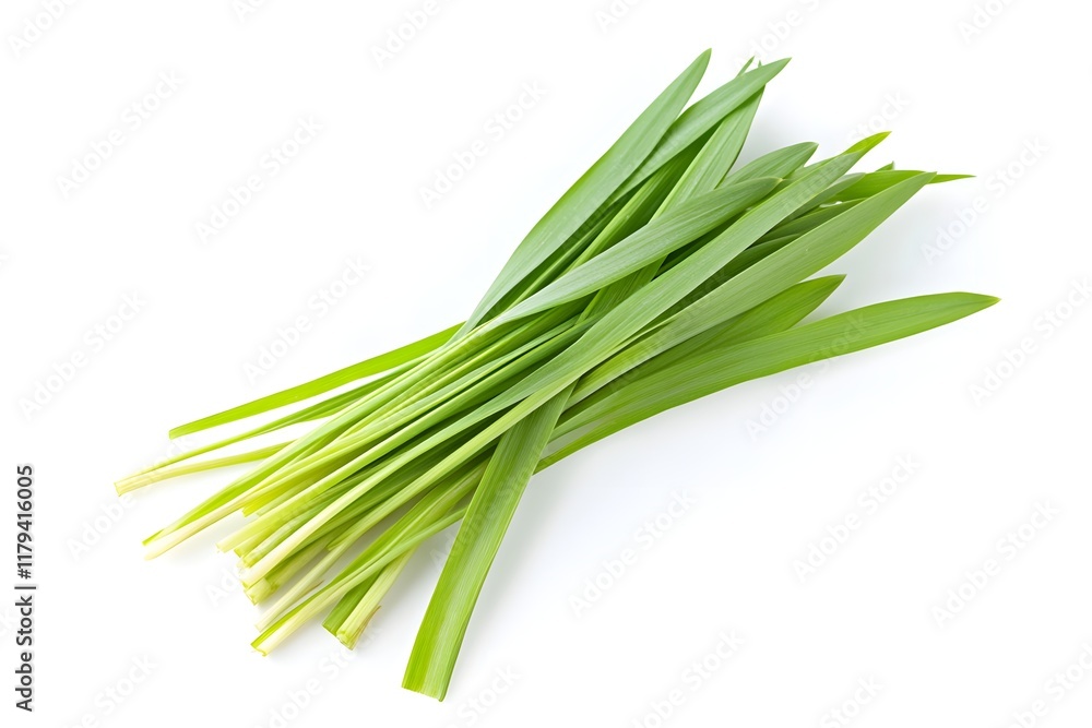 Fresh Green Blades Vibrant Nature Fresh Green Blades Vibrant Nature