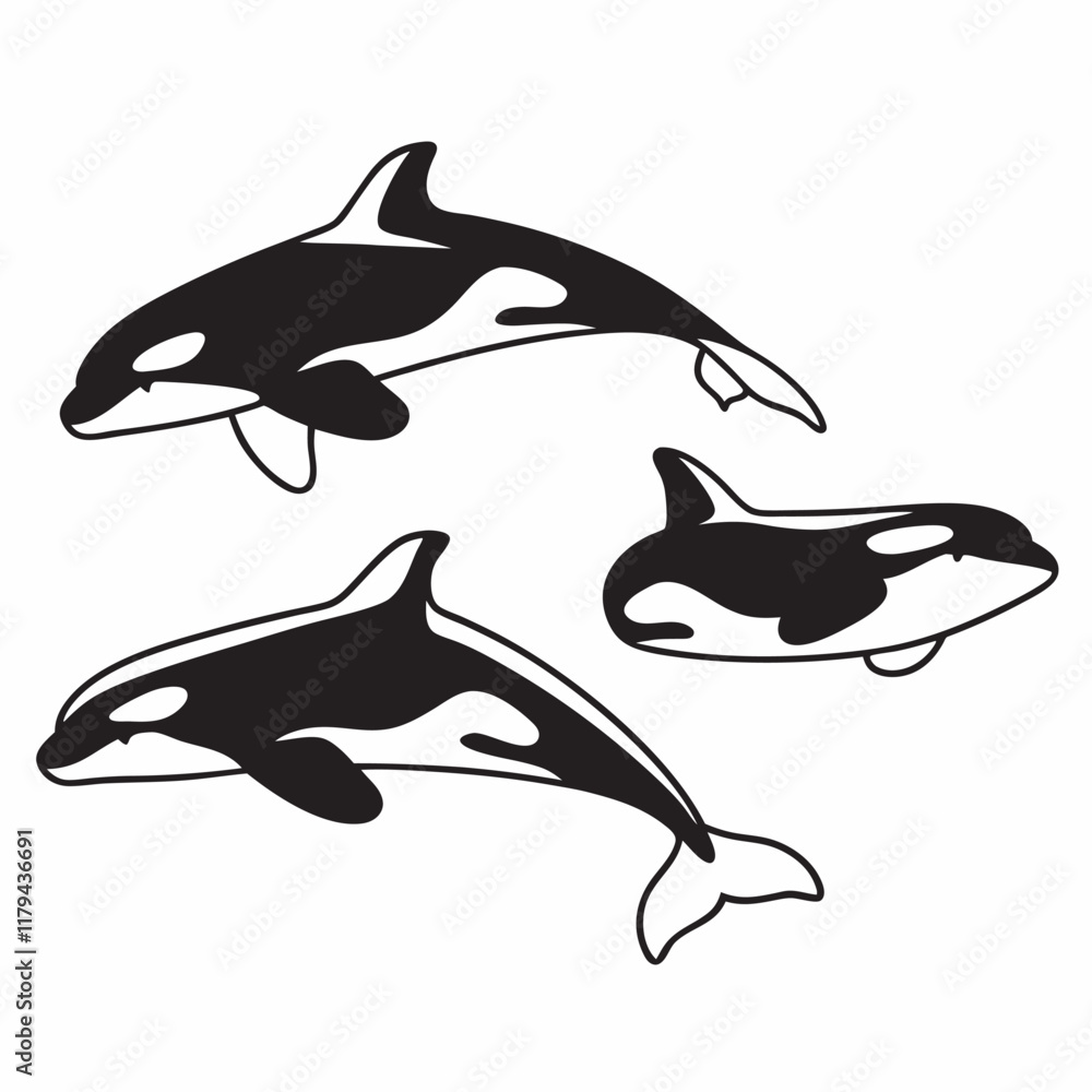 Fototapeta premium dolphin isolated on white