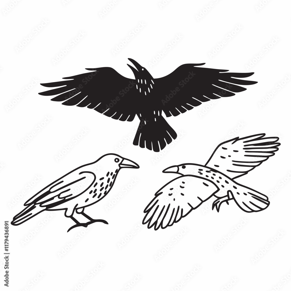 Obraz premium set of birds