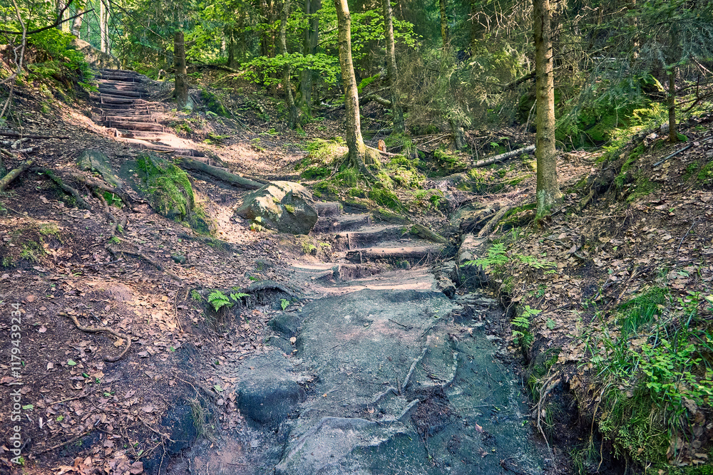 Wanderpfad Wilde Hölle in der Sächsischen Schweiz, Deutschland Wanderpfad Wilde Hölle in der Sächsischen Schweiz, Deutschland