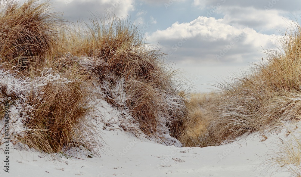 Snowy dunes on the Baltic Sea beach