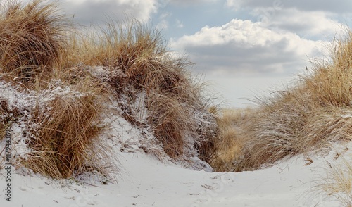 Obraz na płótnie
Snowy dunes on the Baltic Sea beach w salonie