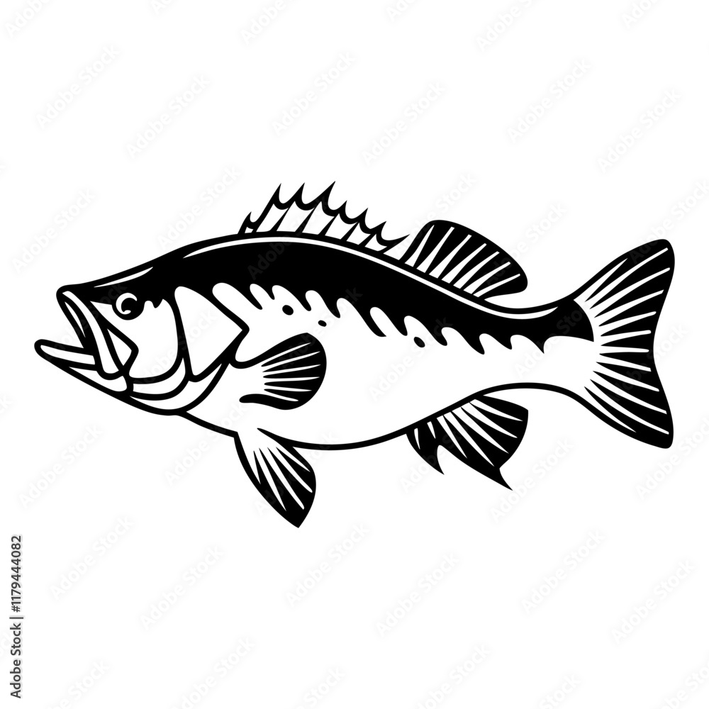 Fish Vector illustration Fish Vector illustration