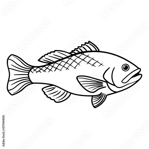 Fish Vector illustration