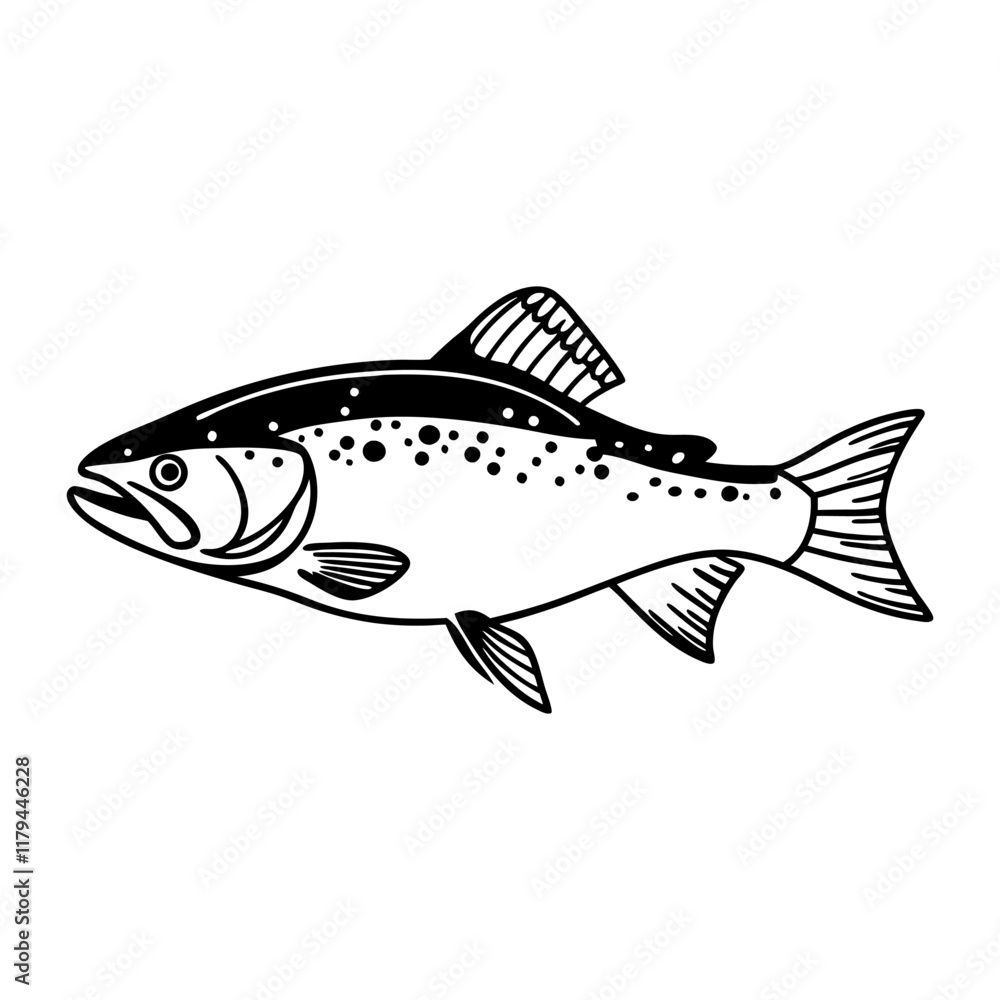 Fototapeta premium Fish Vector illustration