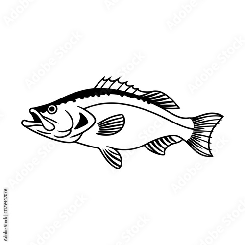 Fish Vector illustration