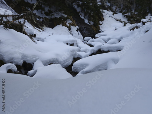 雪