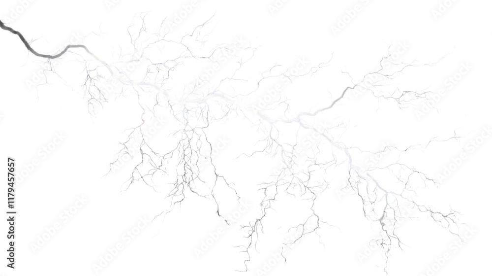 Fototapeta premium Electricity lightning isolated on white background 