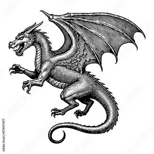 Wyvern in Flight Detailed Black and White Outline Line Art Drawing with Wing and Tail